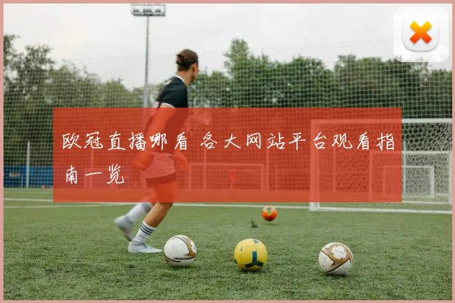 欧冠直播哪看 各大网站平台观看指南一览