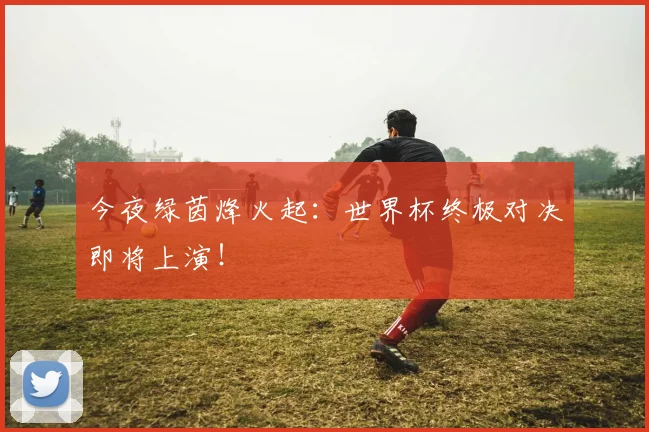 今夜绿茵烽火起:世界杯终极对决即将上演!