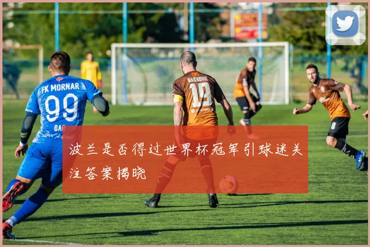 波兰是否得过世界杯冠军引球迷关注答案揭晓