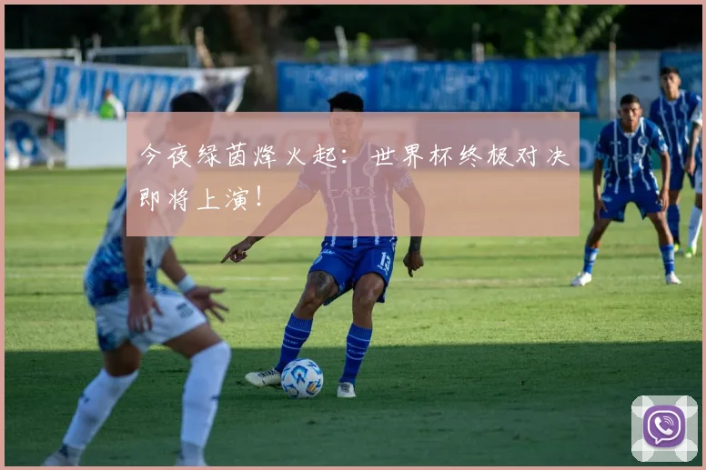 今夜绿茵烽火起：世界杯终极对决即将上演！