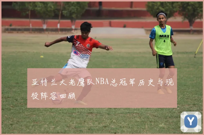 亚特兰大老鹰队NBA总冠军历史与现役阵容回顾
