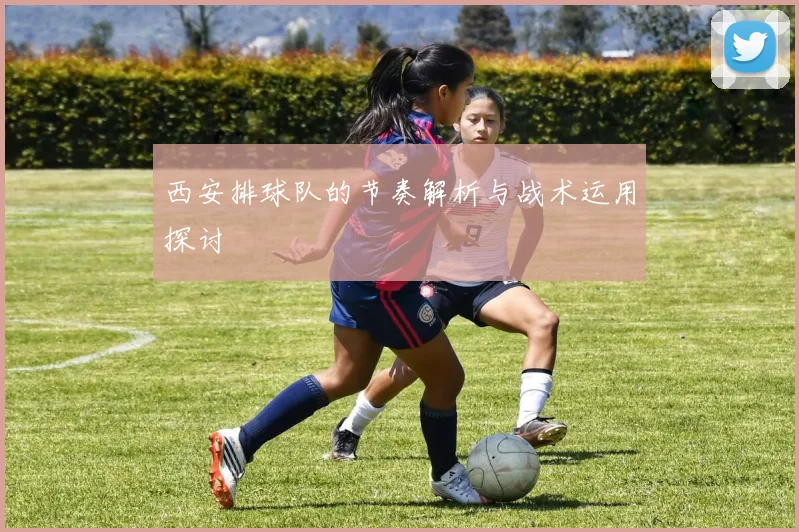 西安排球队的节奏解析与战术运用探讨