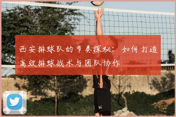 西安排球队的节奏探秘：如何打造高效排球战术与团队协作